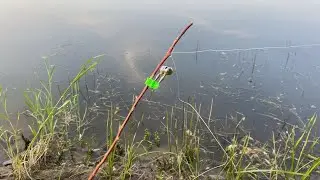 Carp Feeding Frenzy After Spawning! Catching Big Fish With Old-School Homemade Rigs