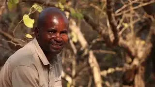 Robin Pope Safaris   The Mobile Walking Safaris   Safari Zambia   South Luangwa