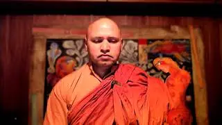 Letting Go of Views  30 Mininute Meditation on Dependent Origination & Inner Freedom