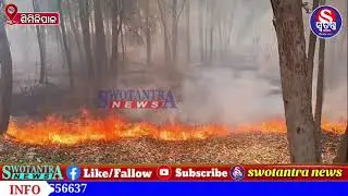 ଶିମିଳିପାଳ ଅଭୟାରଣ୍ୟରେ ନିଆଁ / Forest Fire in Similipal