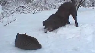 Winter will end one day