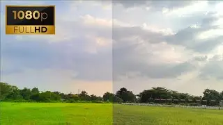 Beauty land | COLOR GRADING PART 213