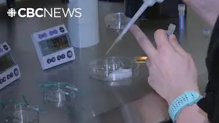 B.C. in-vitro fertilization funding start delayed 3 months