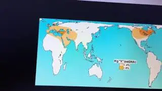 Solutreans DNA Proof as well as Archaeological proof