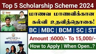 Top 5 Scholarship Scheme Students 2024 | Scholarship 2024 | scholarship tamil 2024 | bc mbc sc st