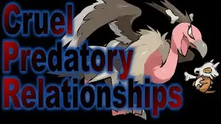 Food Chain in the Pok&eacute;mon World 7 Selections