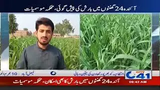 Latest Weather Update!! Heat Remains Intact In Faisalabad