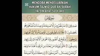 Hukum tajwid Q.s Ya Sin ayat 50 H 443