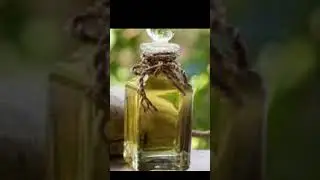 What are the Benefits of Baobab Oil for Hair?