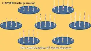(5-5) Principles of DNA sequencing: next generation sequencing method (NGS) (animation)