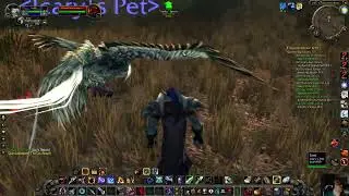 Zagrajmy w World of Warcraft Classic Night Elf Hunter 49