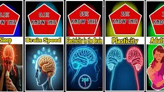 Brain Facts You Didn&rsquo;t Know: Data-Driven Insights | Human Brain Comparison 2025