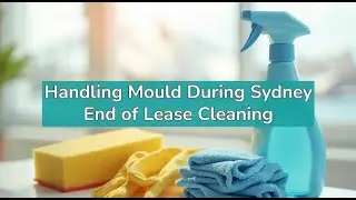 Handling Mould During Sydney End of Lease Cleaning | Bond Cleaning Sydney