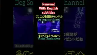 Winter Illuminations:　冬のイルミネーションに　Dog Song Diary Channel ワンコ歌日記