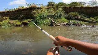 ASTAGA !! MANCING DI SPOT INI ADA IKAN NILEM BESAR NYA