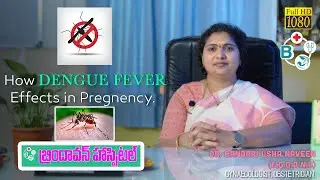 How DENGUE FEVER Effects in Pregnancy || Brindavan Hospital || Dr. Bandari Usha Naveen ||