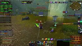 Turtle WoW - Eyedeah - Enhancement Shaman - Rank 12 PVP LIVE!