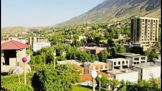 شارع شقلاوة Where the beauty of nature meets city streets.