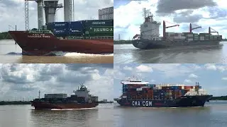 When a Giant Container Ship Sounds Its Horn