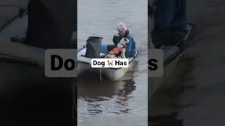 Whitby&rsquo;s Sailing 🐶 🐕 🐩 Dog #yorkshire #cute #dog #pets #sailing #yorkshire #funny #