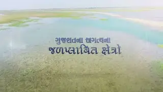 Important Wetlands of Gujarat