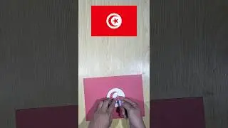 Tunisia flag#shorts #trending #origami #shortvideo #shotefeed