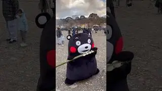 長竹に挟んだお餅をかじろうとするくまモン🤣 #くまモン #かわいい #熊本熊 #みどりかわ湖どんど祭り #緑川ダム #美里村 #生餅 #どんど焼き