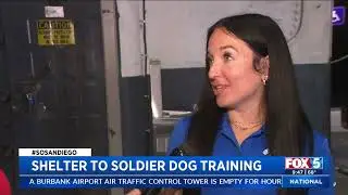 FOX 5 San Diego Highlights Morale Dog Lady&rsquo;s Training on the USS Midway