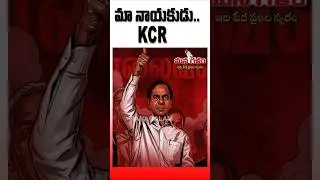 మా నాయకుడు.. KCR!! #kcr #trending #viral