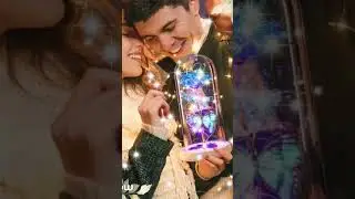 Light up glass rose link in my bio, in my linktree gift section or tiktok showcase