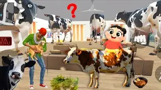 🎬What are you looking at! 😱 I bought a cow today because I wanted to drink cow's milk@SHUDUHASIFS...