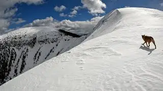 Viking Ridge all of the ridges | April 2023 | Northern BC