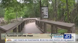 Your Hometown: Flowood, Mississippi