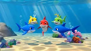Rainbow Shark Splash 🦈🌈 | Swim, Sing & Dance Under the Rainbow Sea! 🎶🌊