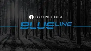 Iggesund Forest Blue Line