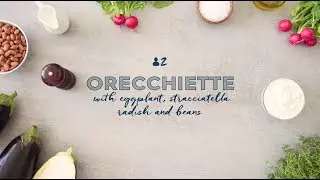 Orecchiette with eggplant, stracciatella di bufala, radish and borlotti beans