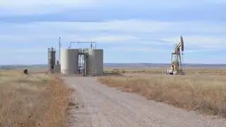 Hereford, CO CRP Land for Sale, Weld County, CO.