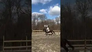 First ride of 2025 raws! #equestrianjourney #horse #horseenthusiast #jesuslovesyou #fypageシ #fyppppp