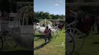 Cinderella pumpkin carriage ride#weddingday#fairytale horse and carriage#royal buggy in grassland