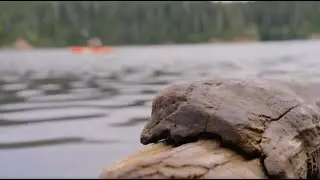 Refined Explores: Wynoochee Lake in Washington