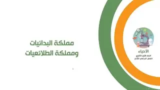 مملكة البدائيات ومملكة الطلائعيات