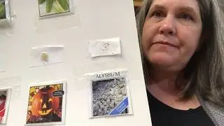 2. Plant Unit Lesson One: Plants Grow from seeds