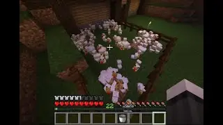 SO MANY CHICKENS @ryanthreethousand #3400ForMayor