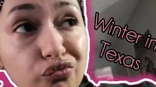 Daily Vlog December 29, 2025