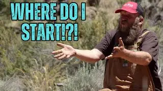 Setting Up Your Homestead: What Systems In What Order