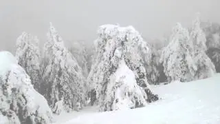 &Alpha;&Lambda;&Mu;&Alpha;&Tau;&Alpha; &Tau;&Epsilon;&Phi;&Alpha;&Alpha; &Sigma;&Epsilon;&Rho;&Rho;&Omega;&Nu;!!!