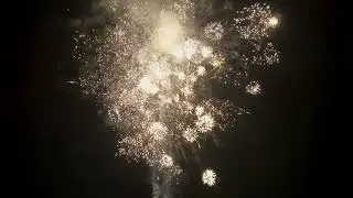 Close-Up Footage: The Full Blooming Process of One Firework#fireworks #pyrotechnics #pyro