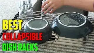 Best Collapsible Dish Racks Reviews [TOP 5 PICKS]