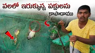 Rescuing 2 Birds Trapped in a Fish Net 😱😱 చాలా కష్టపడి 2 ప్రాణాలు కాపాడాము..😍🔥 Telugu Experiments