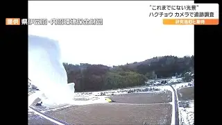 「ハクチョウが見ている風景を見る」国内初・ハクチョウに“カメラとGPS”を装着　ほぼリアルタイム画像で追跡調査